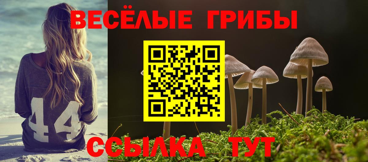 Краснокамск  Псилоцибиновые грибы ЛСД  Вход с VPN  Галлюциногенные грибы GOLDEN TEACHER 